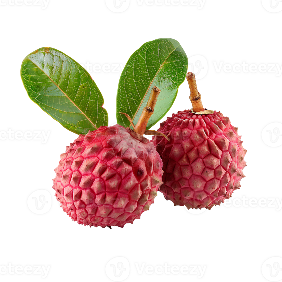 AI generated Lychee fruit PNG. Lychee top view PNG. Lychee flat lay isolated. Exotic fruit lychee isolated png