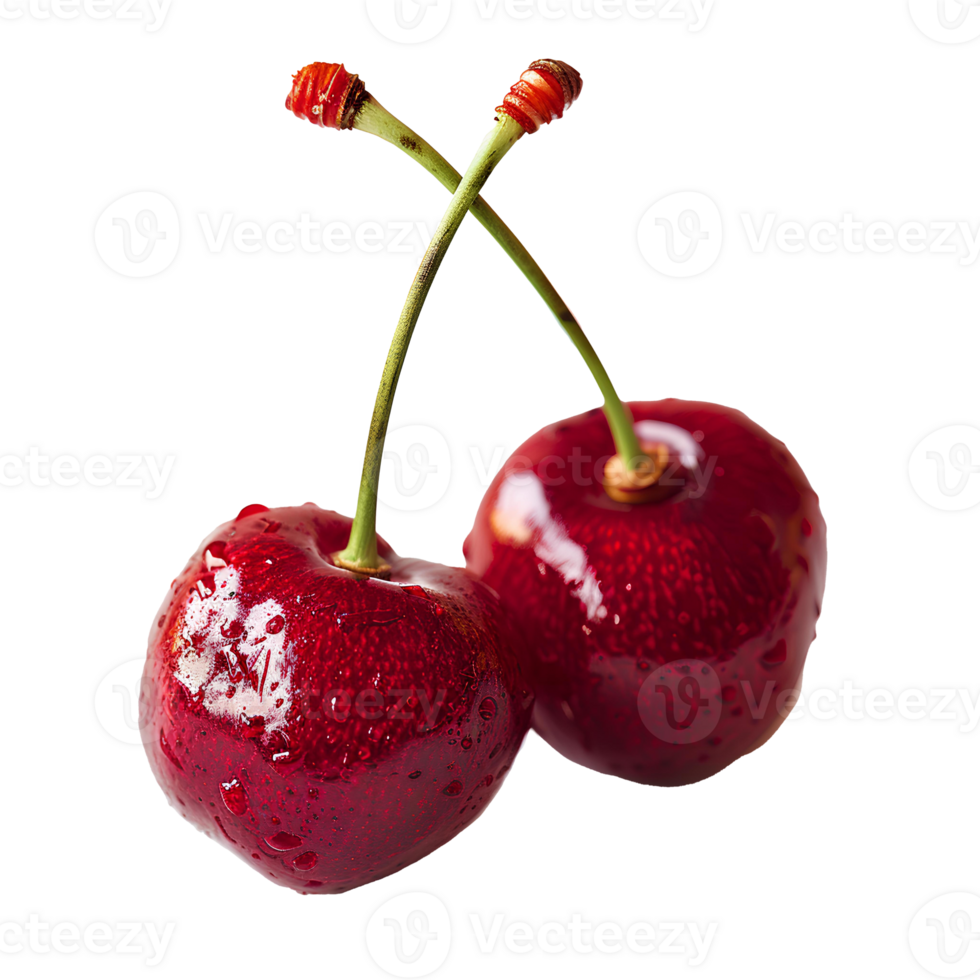 AI generated Red cherry with stem PNG. Red cherries PNG. Wild red cherry isolated. Cherry with a steam and a leaf PNG