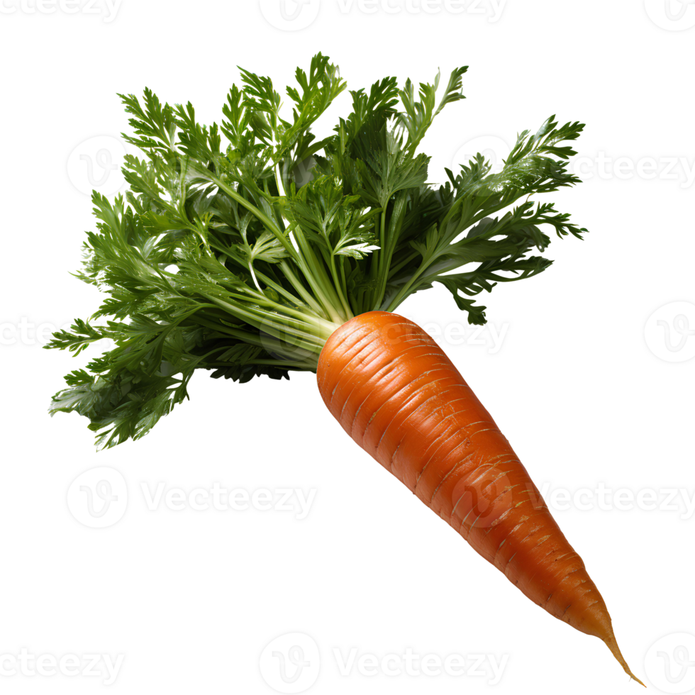 AI generated Carrots PNG. Carrot top view PNG. Carrot flat lay. Organic vegetable of carrot isolated png