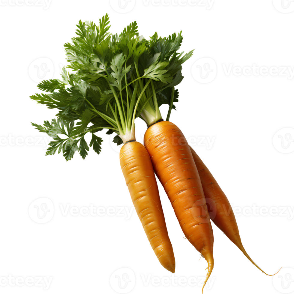 AI generated Carrots PNG. Carrot top view PNG. Carrot flat lay. Organic vegetable of carrot isolated png