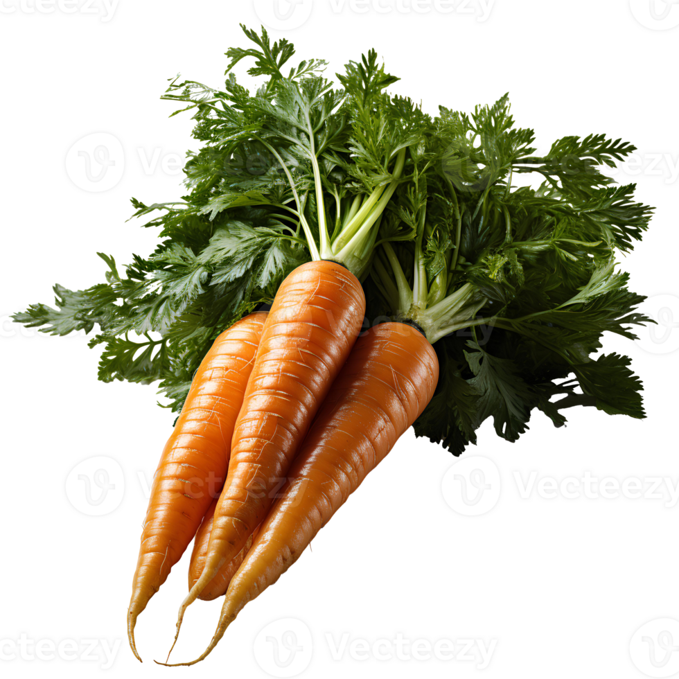AI generated Carrots PNG. Carrot top view PNG. Carrot flat lay. Organic vegetable of carrot isolated png