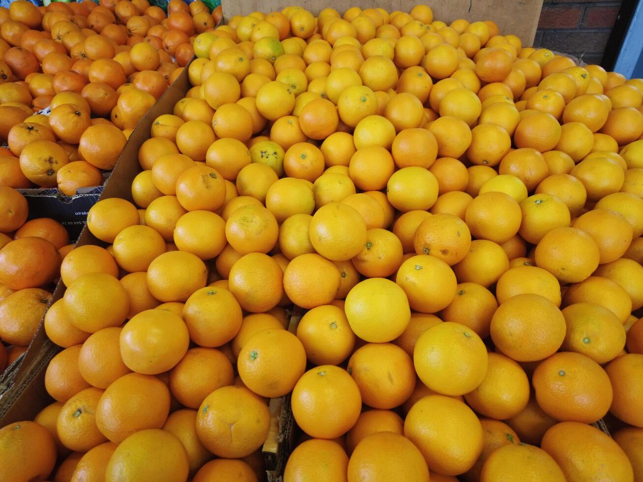 naranjas - Fruta foto