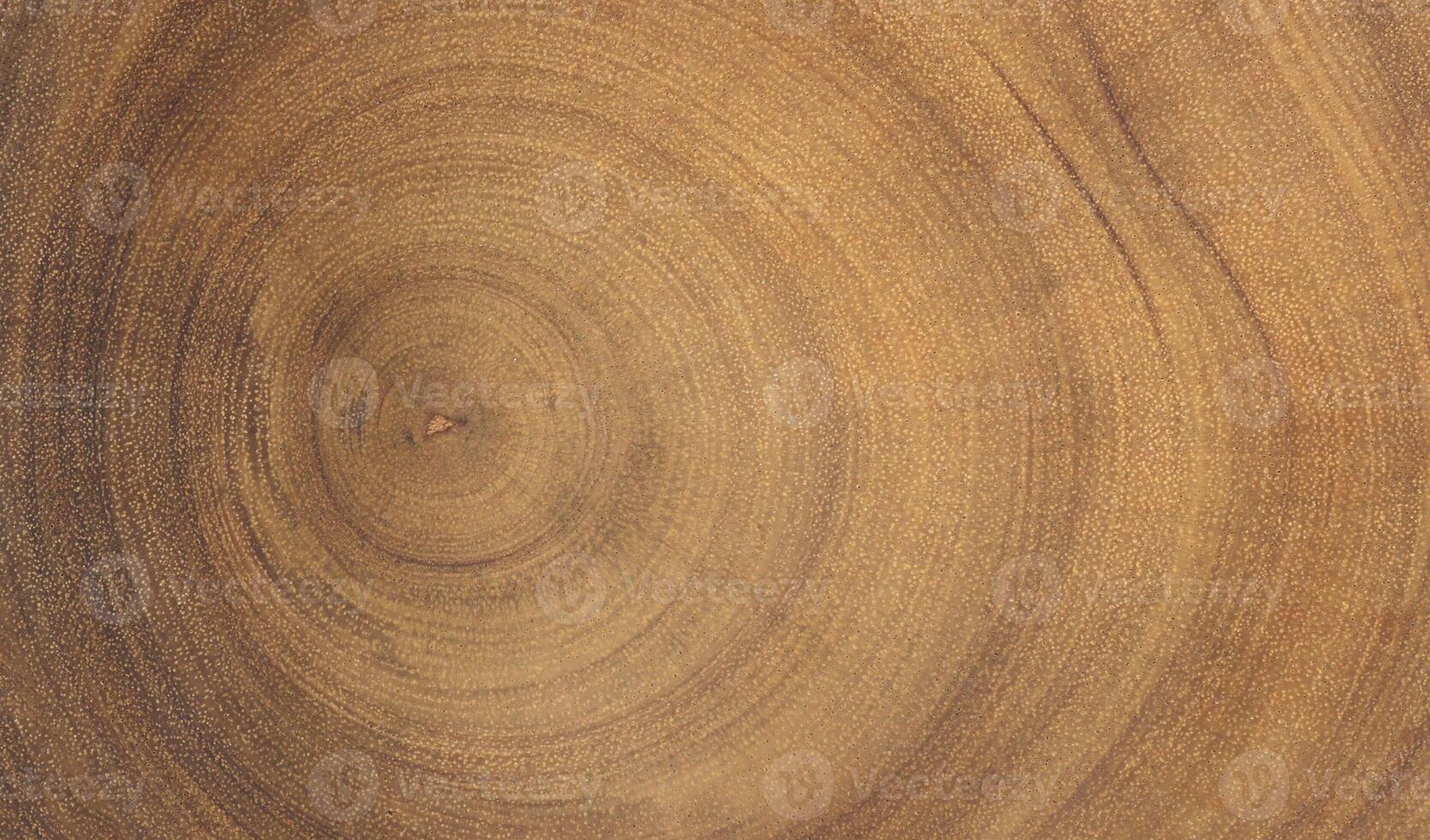 Cross section of tree trunk. Wood texture of cut tree trunk. photo