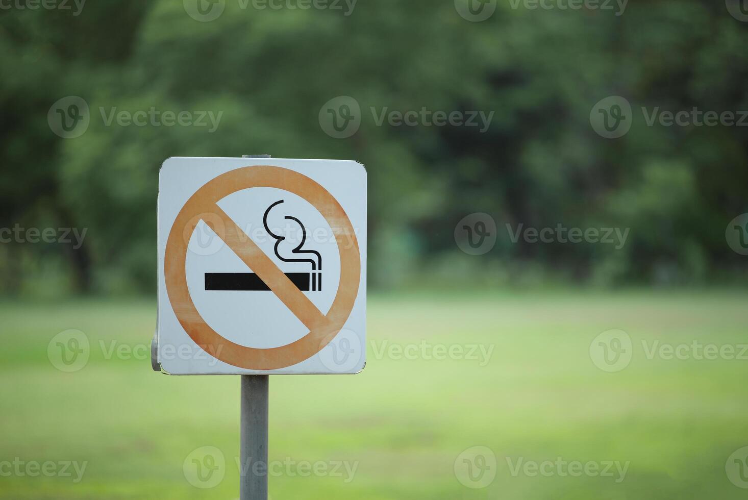 No smoking sign in the public garden. Label no smoking metal sign in the park photo
