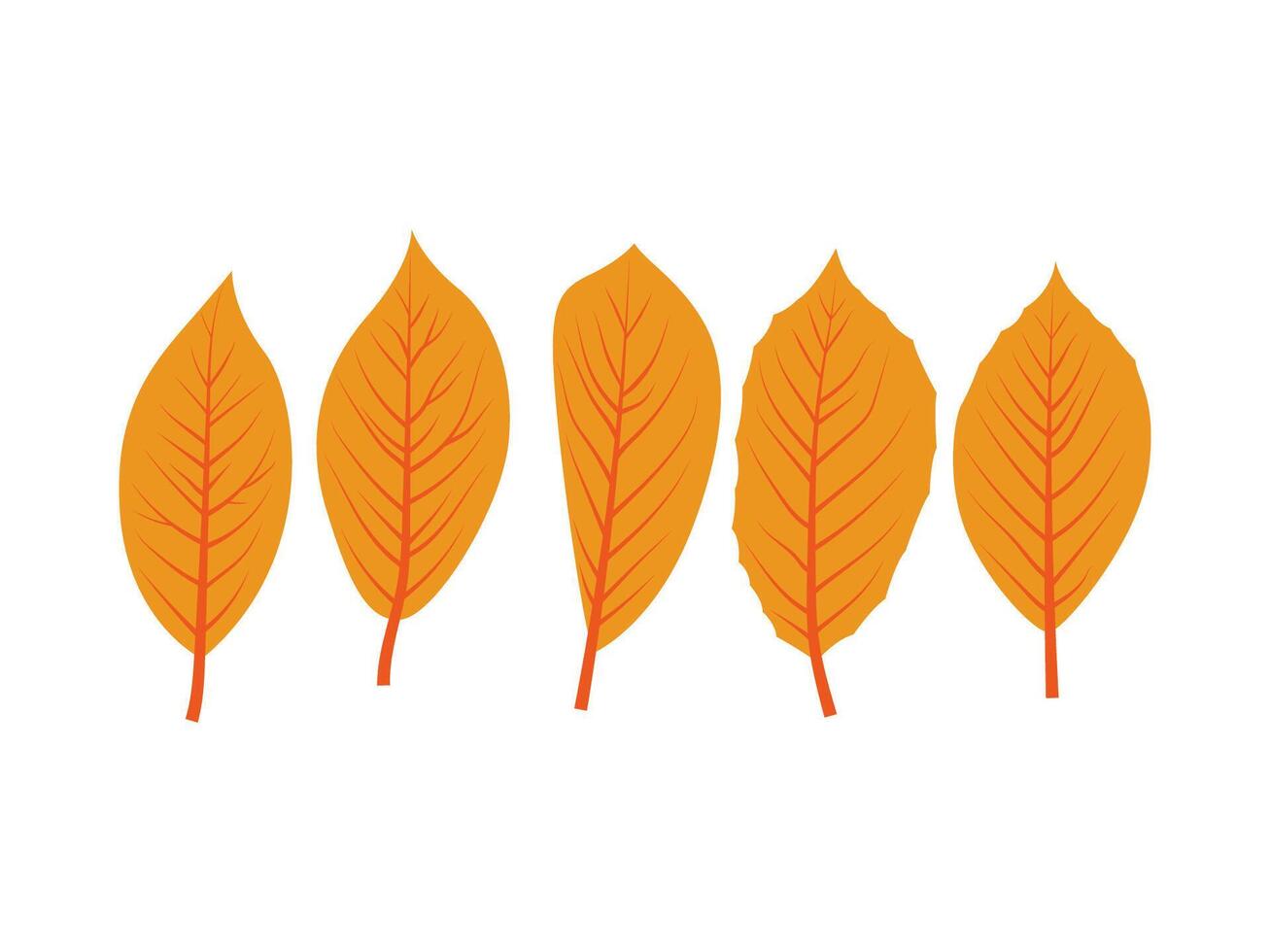 autumn leaves collection,vector flat vector