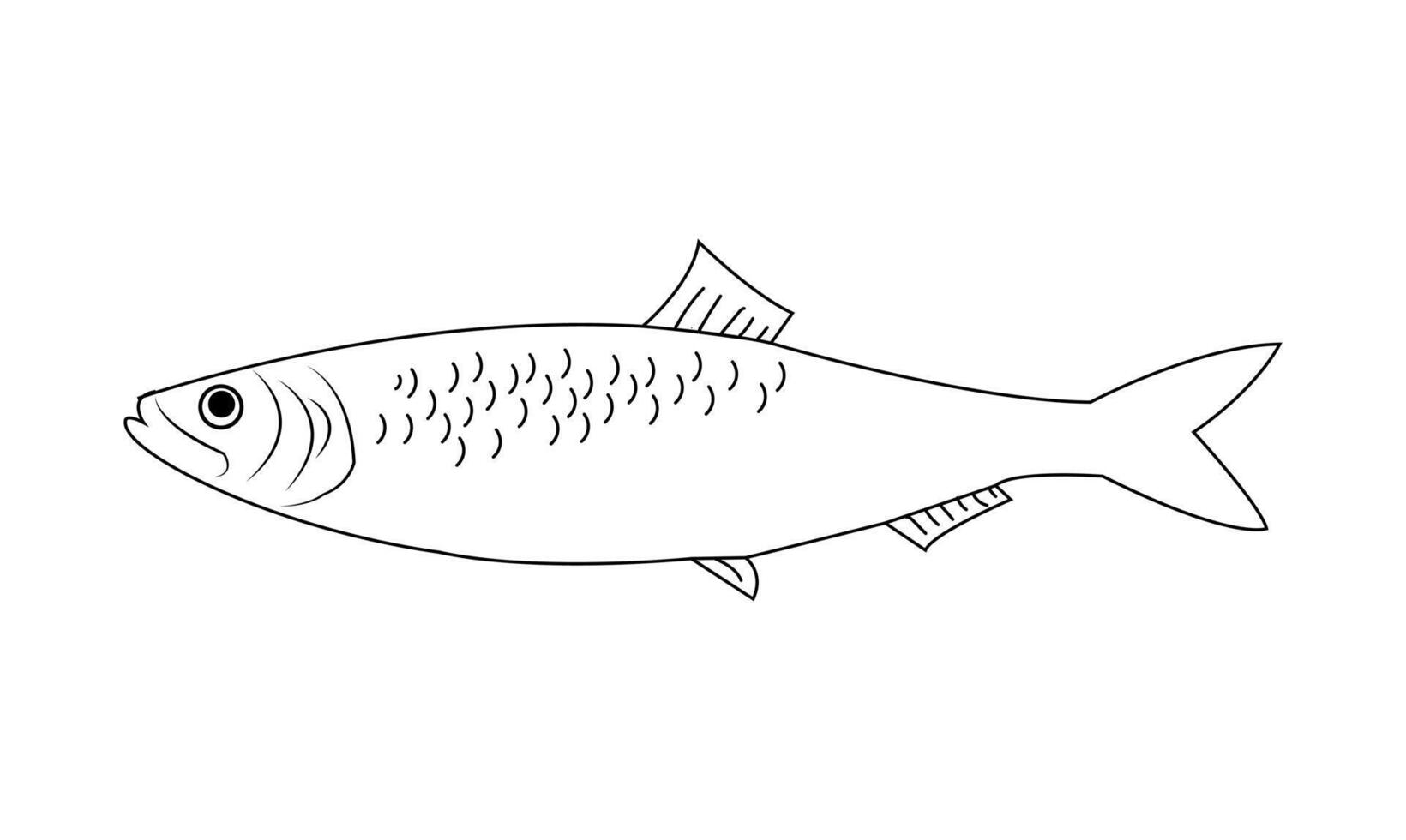 Fish vector illustration. Sea animal coloring book or page for children