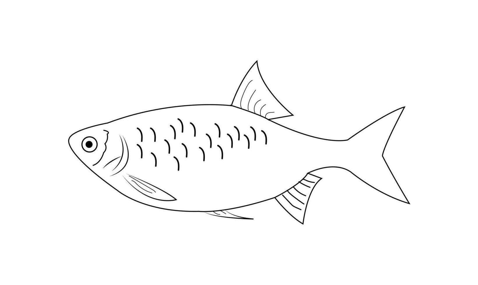 Fish vector illustration. Sea animal coloring book or page for children