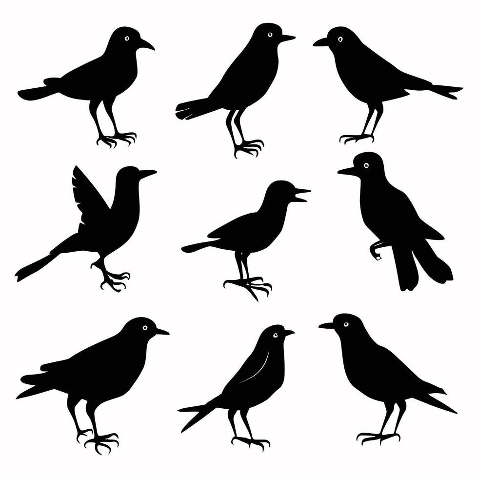 conjunto de un rebaño de volador diferente aves siluetas colección de diferente dibujos animados negro aves en blanco antecedentes. vector ilustración.