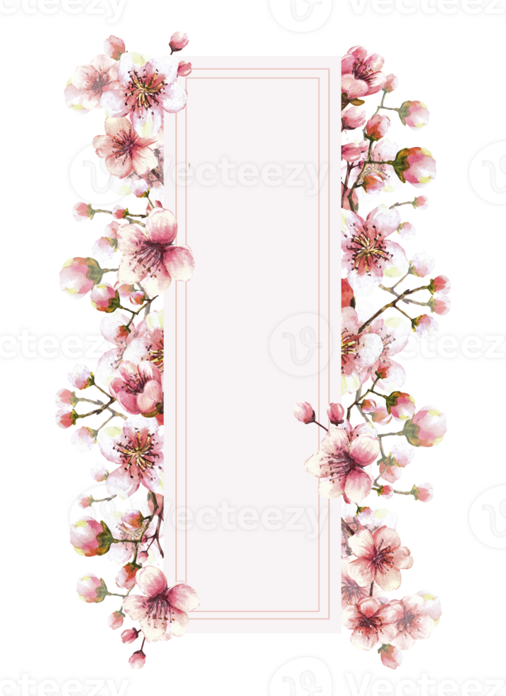 A blossoming branch from spring tree, sakura, Japanese cherry buds and flowers Springtime watercolor template with space for text for your card banner Hand drawn isolated illustration png