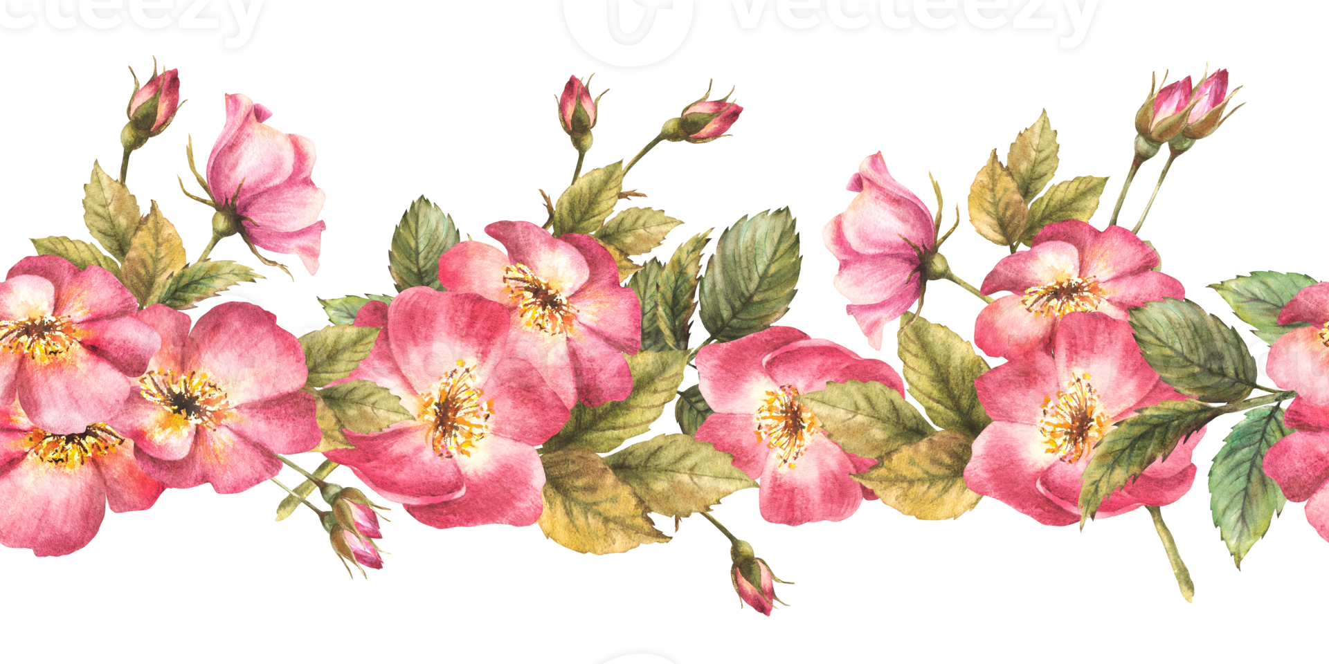 Watercolor floral seamless border, pattern. Pink wild rose hip branch with buds, flowers, leaves, dog or brier rose. Botanical repeating horizontal print. Hand drawn illustration isolated background. png