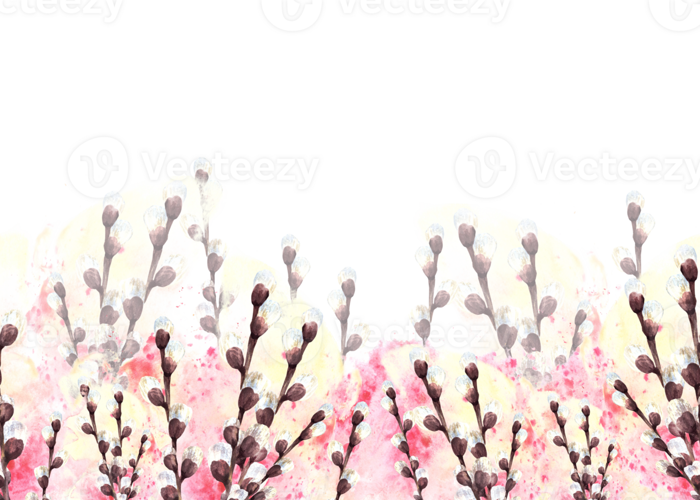 Watercolor spring pussy willow tree on background of watercolor yellow, pink stain splashes seamless banner, border Spring branches, Easter, Palm Sunday card template. Hand drawn illustration png