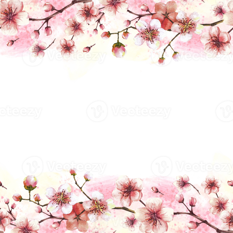 Blossoming branch from tree, sakura, cherry or apple buds and flowers seamless frame, border on watercolor stains background Spring blossoms, springtime banner clipart Hand drawn isolated illustration png