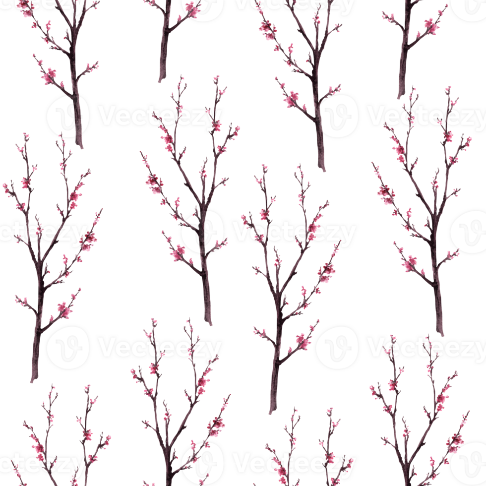 Watercolor hand drawn early spring blossoms of trees, sakura, cherry, apricot flowers. Seamless pattern. First buds, leaves, wrapping paper Botanical clipart Isolated illustration png