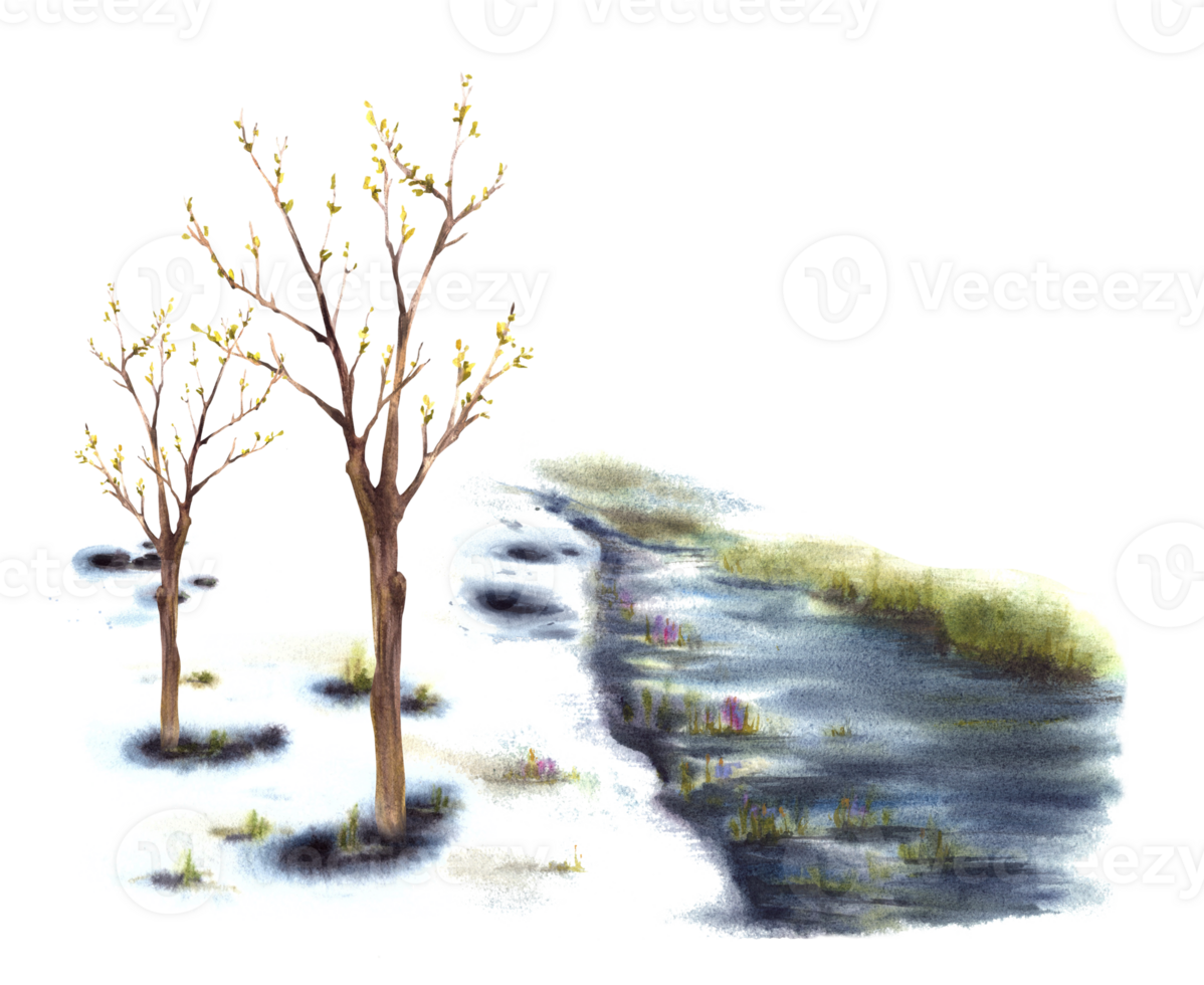 waterverf voorjaar landschap. primair planten bloemen, vroeg bloemknoppen en bladeren Aan de bomen, de eerste gras breken door de sneeuw, rennen stroom. hand- geschilderd clip art png