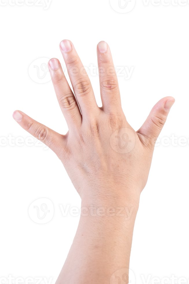 hand on isolated background clipping path png