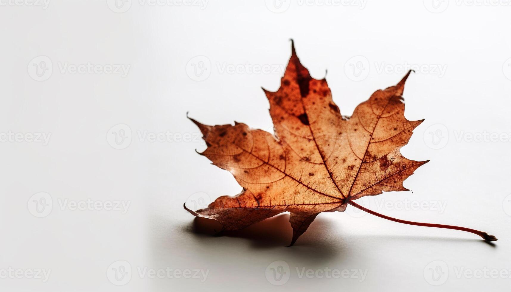 ai generado vibrante otoño colores Decorar el bosque, simbolizando cambio y belleza generado por ai foto