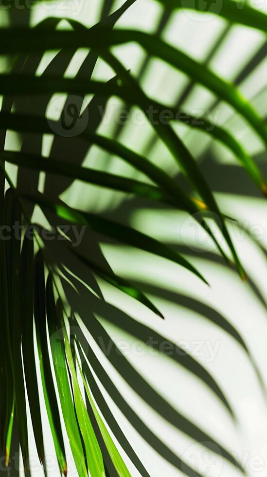 AI generated Close-up of Palm Leaf on White Background. Generative AI. photo