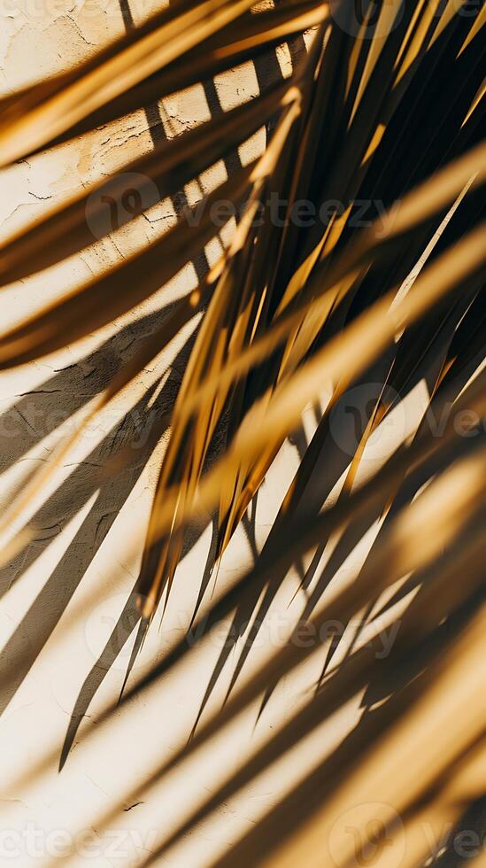 AI generated Shadow of Palm Leaf on Wall. Generative AI. photo