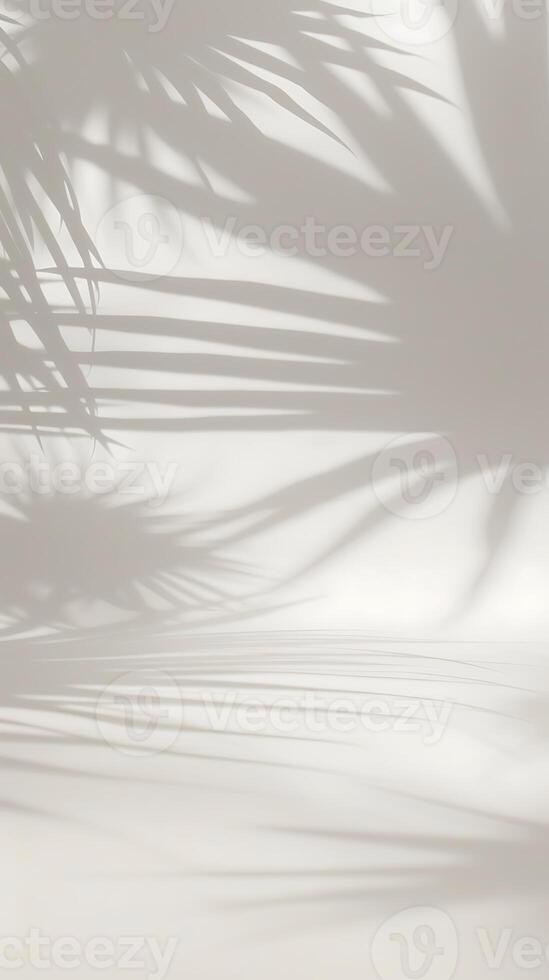 AI generated Shadow of Palm Tree on White Wall. Generative AI. photo