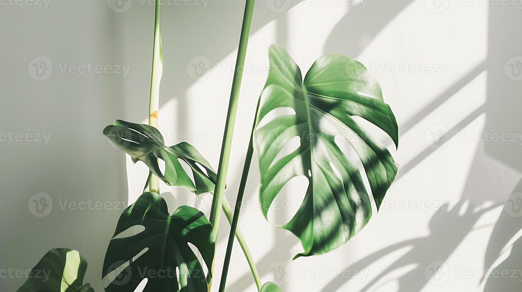 AI generated Large Green Plant Next to White Wall. Generative AI. photo