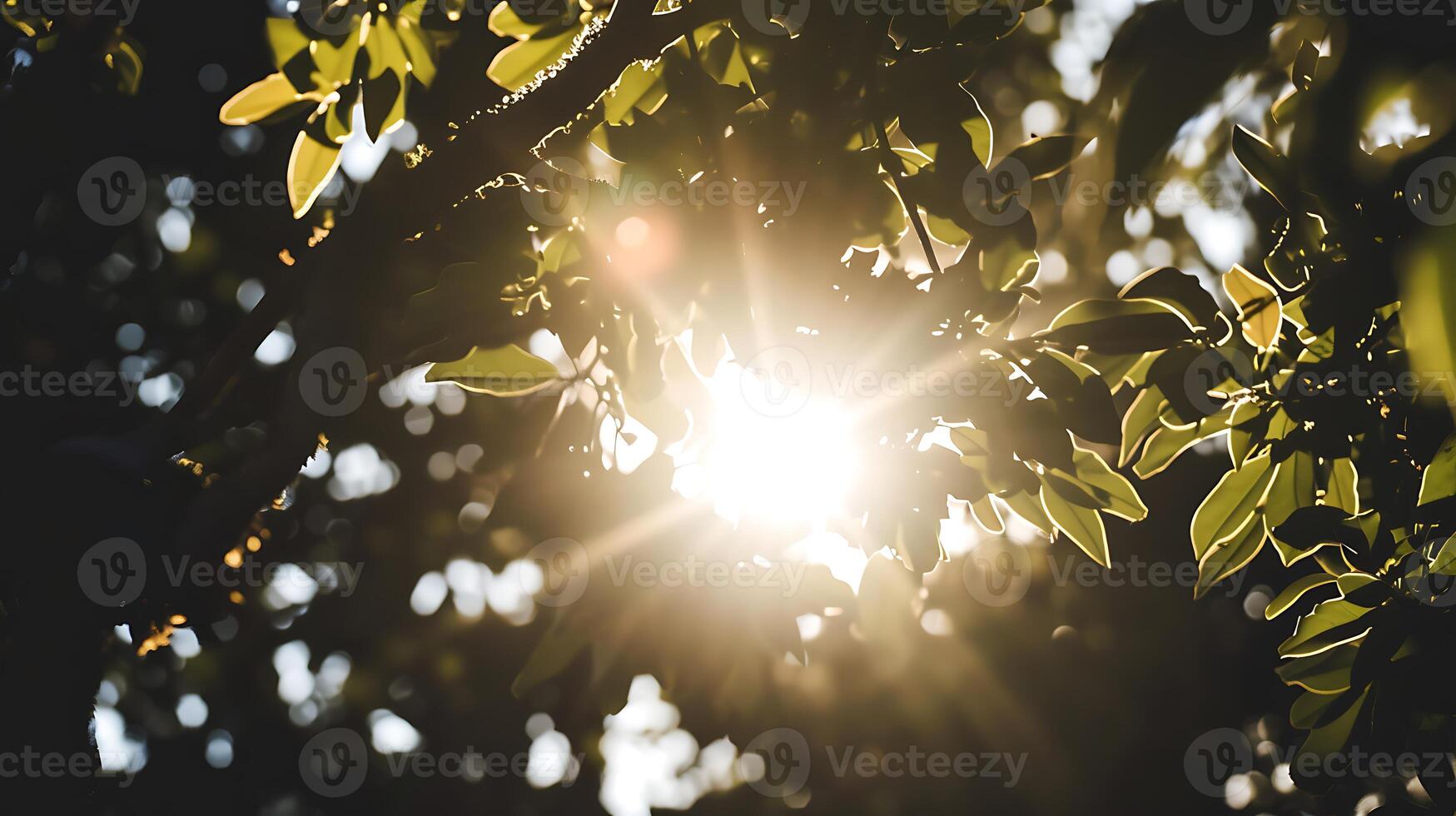 AI generated Sunlight Filtering Through Tree Leaves. Generative AI. photo
