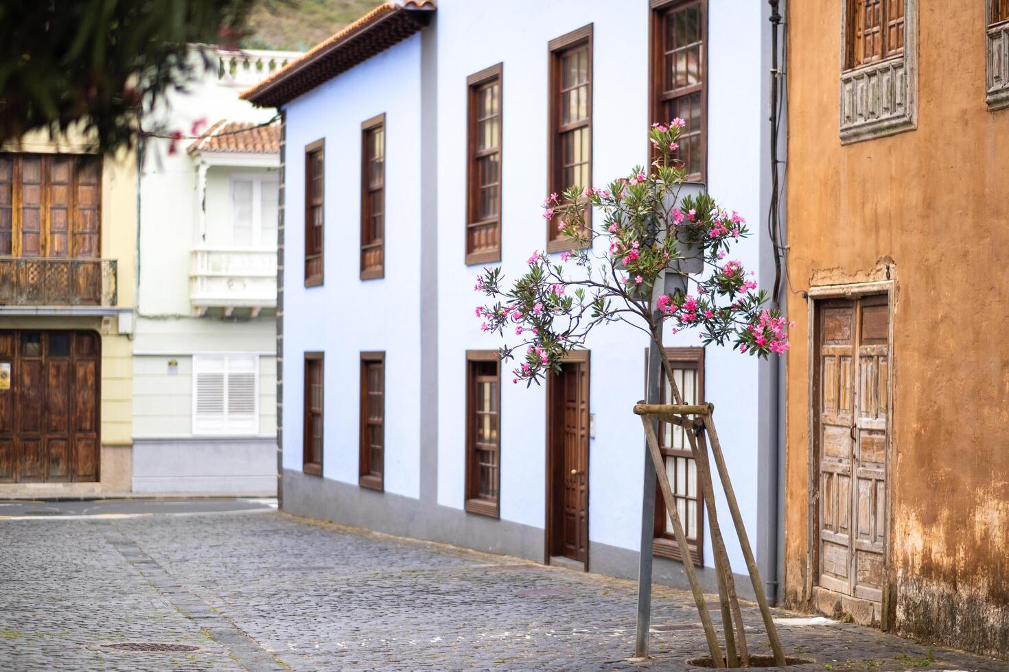 August 1, 2019. La Laguna Old Town Center in Tenerife, Canary Islands, Spain photo