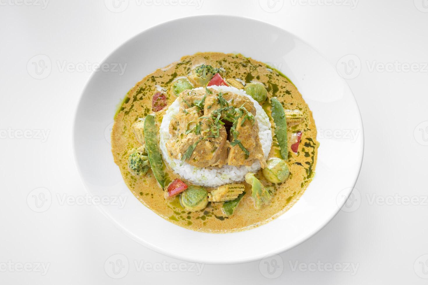 tailandés curry servido en un plato aislado en gris antecedentes lado ver foto