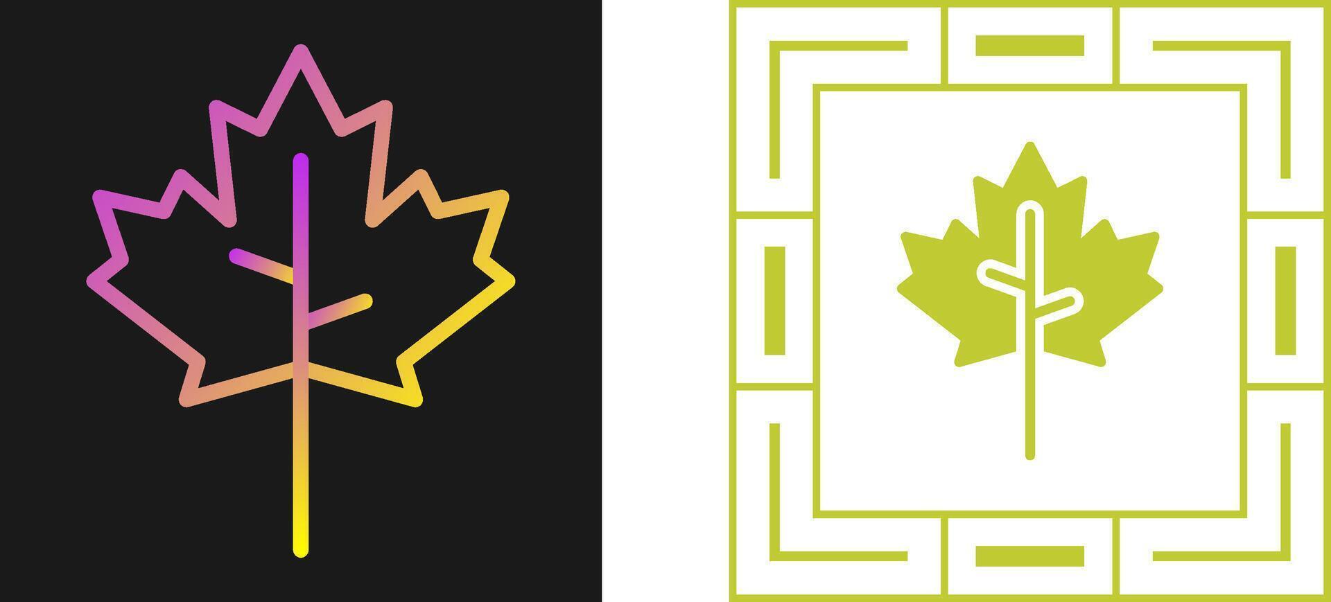 Maple leaf Vector Icon