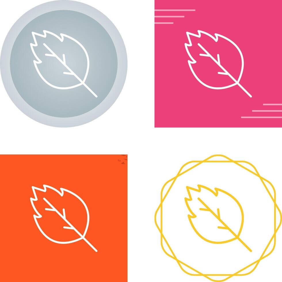 Oak leaf Vector Icon