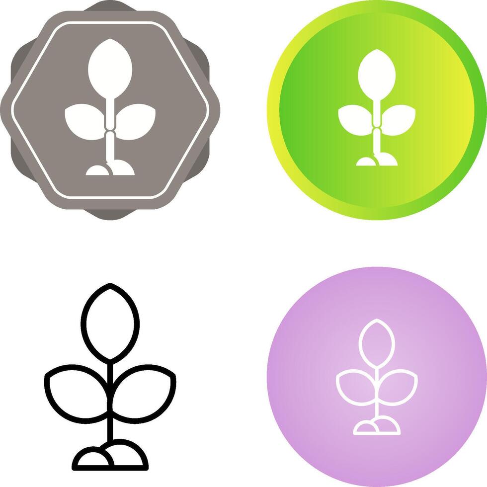 Plant Vector Icon