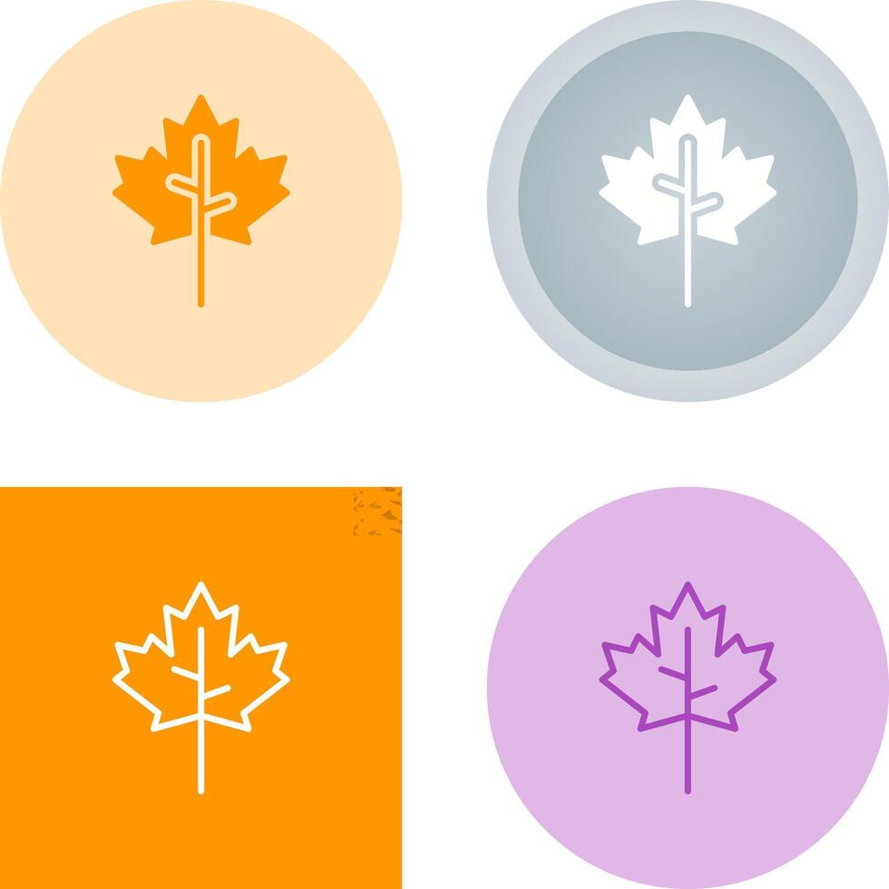 Maple leaf Vector Icon