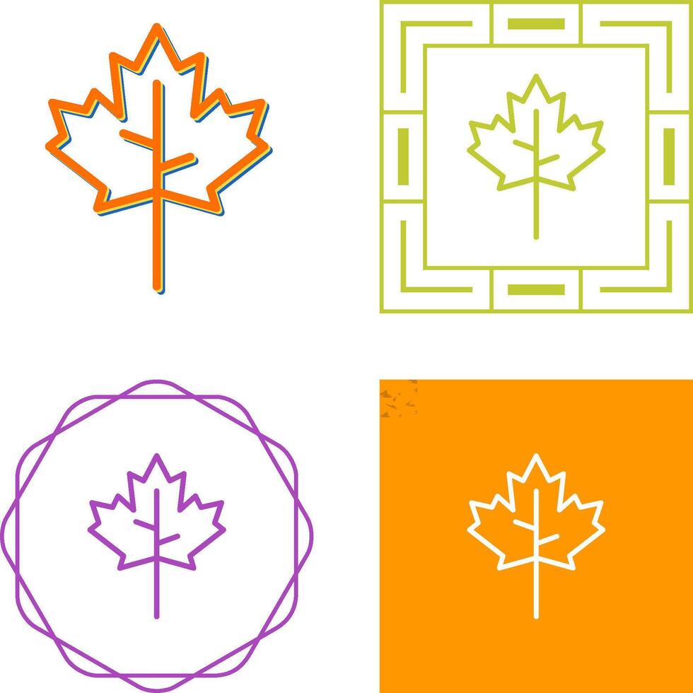 Maple leaf Vector Icon