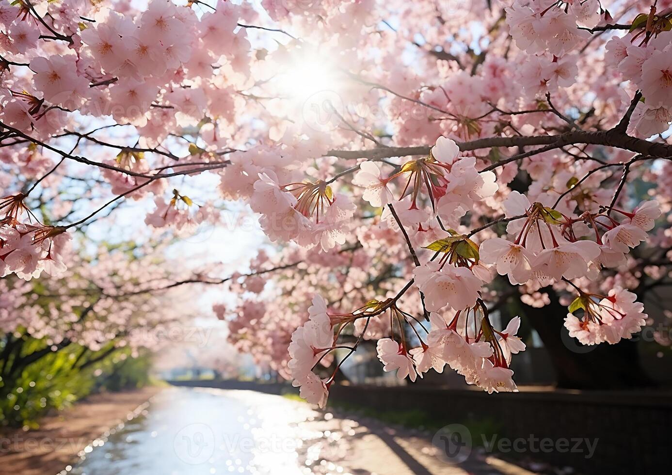 AI generated The cherry blossom tree blooms, showcasing nature vibrant beauty generated by AI photo