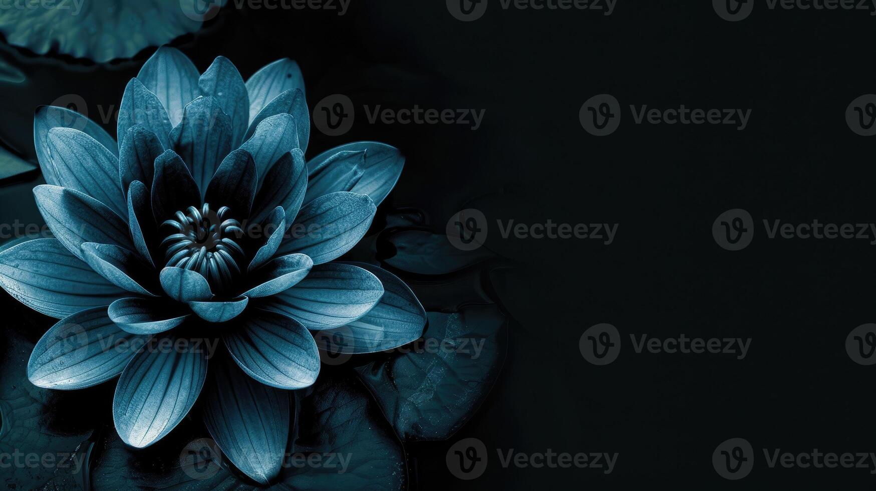 AI generated Zen lotus flower background with ample space for text, featuring dark colors for a calming ambiance. Ai Generated. photo