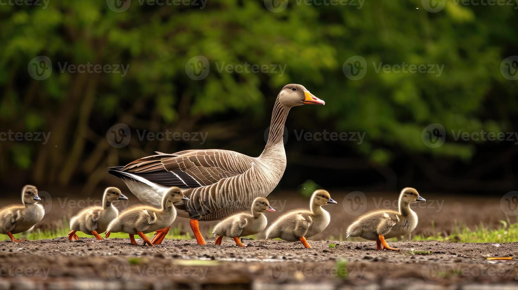 AI generated Goose confidently leads a pack of fellow geese through the landscape. Ai Generated. photo