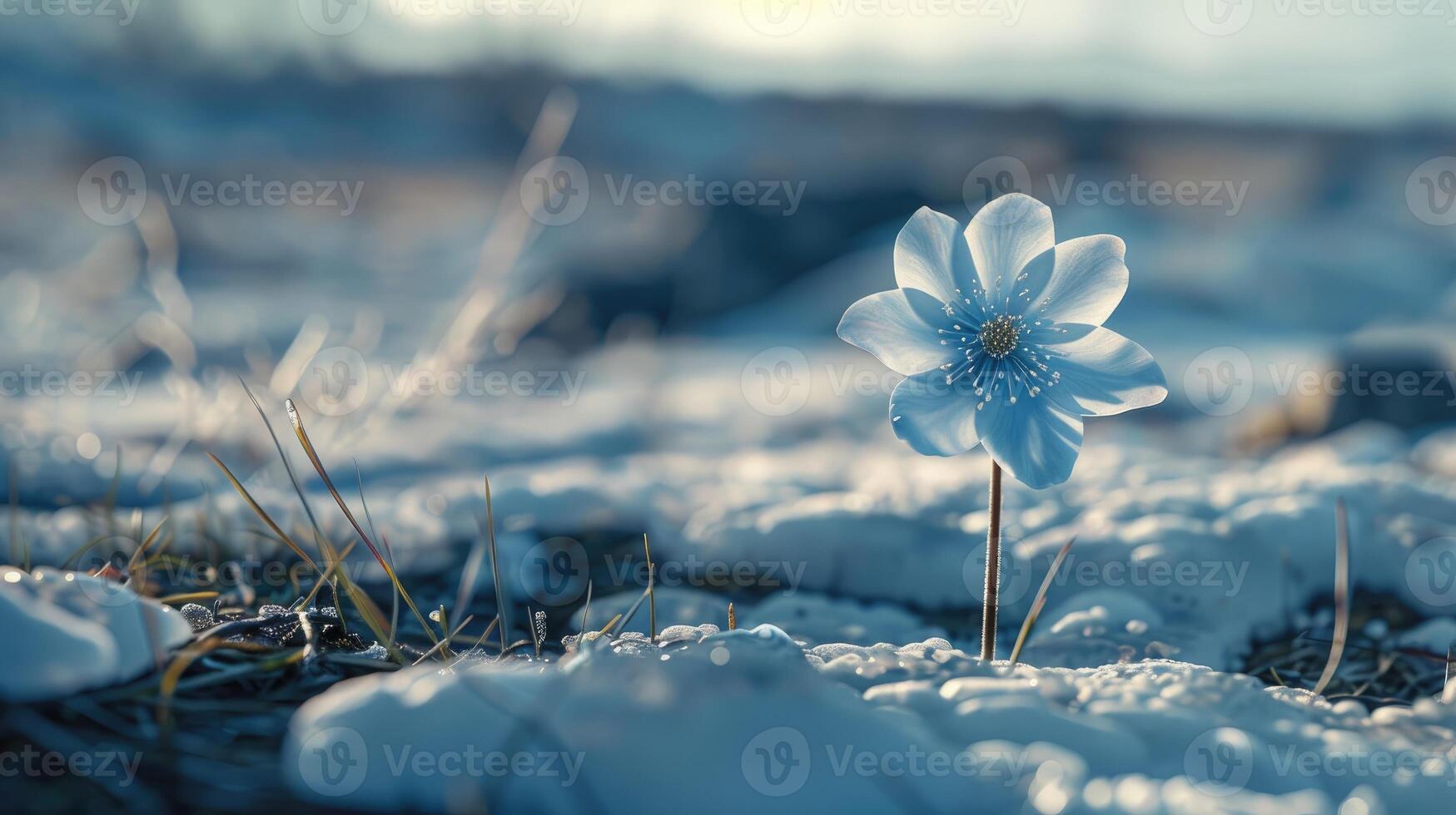 AI generated Captivate your senses with a winter wonderland, where frozen flowers glisten in delicate splendor, Ai Generated. photo