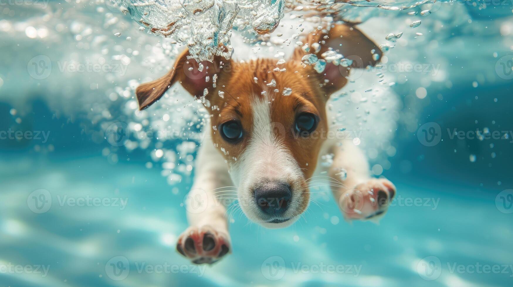 AI generated Hilarious underwater scene puppy in pool plays deep dive action, Ai Generated. photo