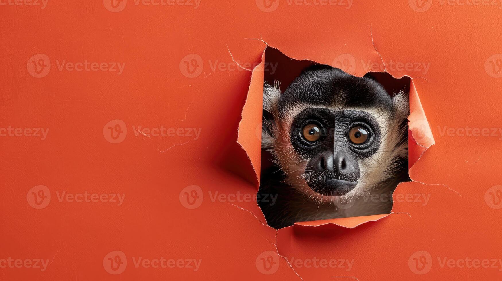 AI generated A humorous gibbon peers through a ripped hole in a contrast pastel color paper background, Ai Generated photo