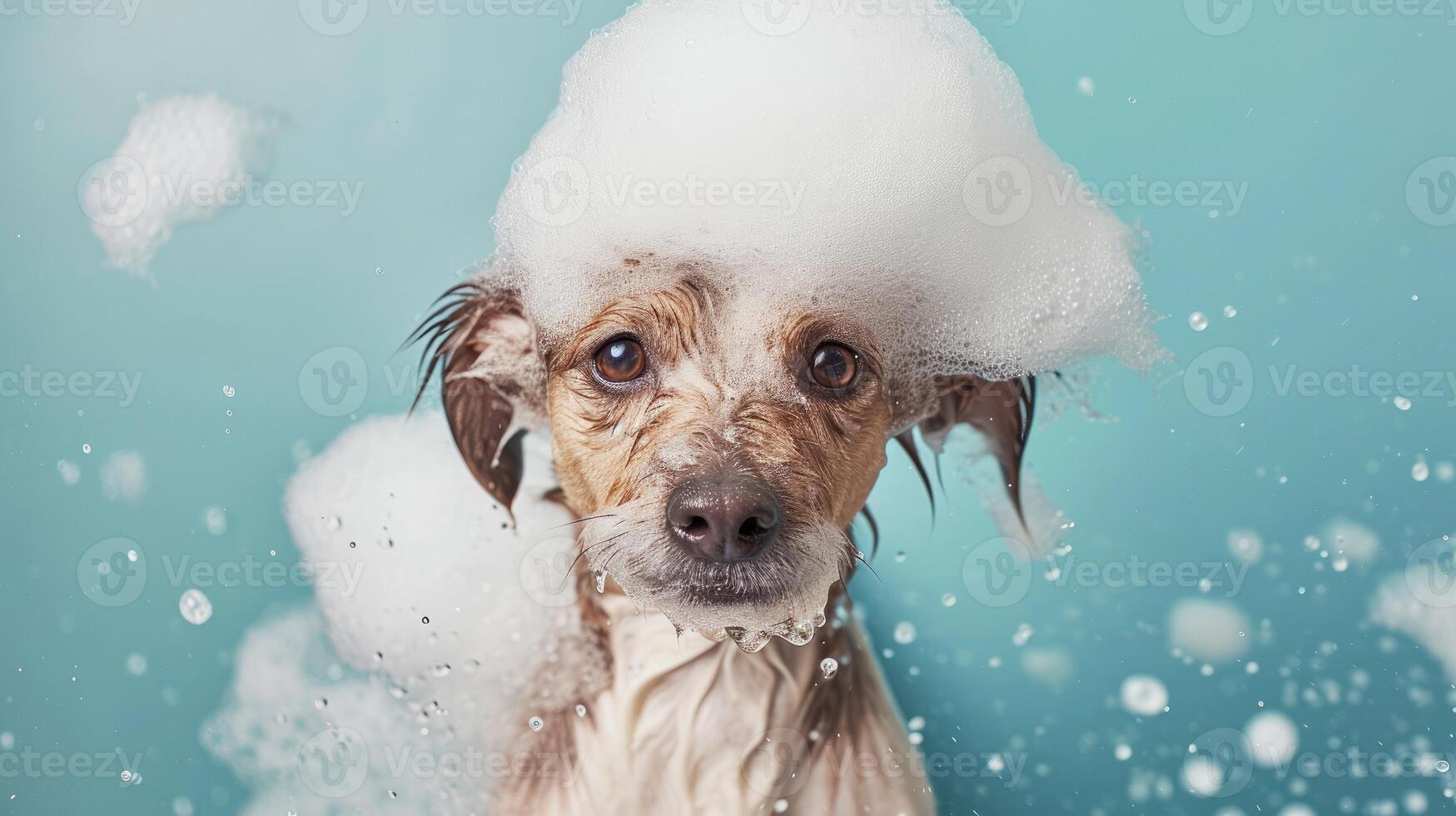 AI generated A humorous puppy peers through a ripped hole in a contrast pastel color paper background, Ai Generated photo