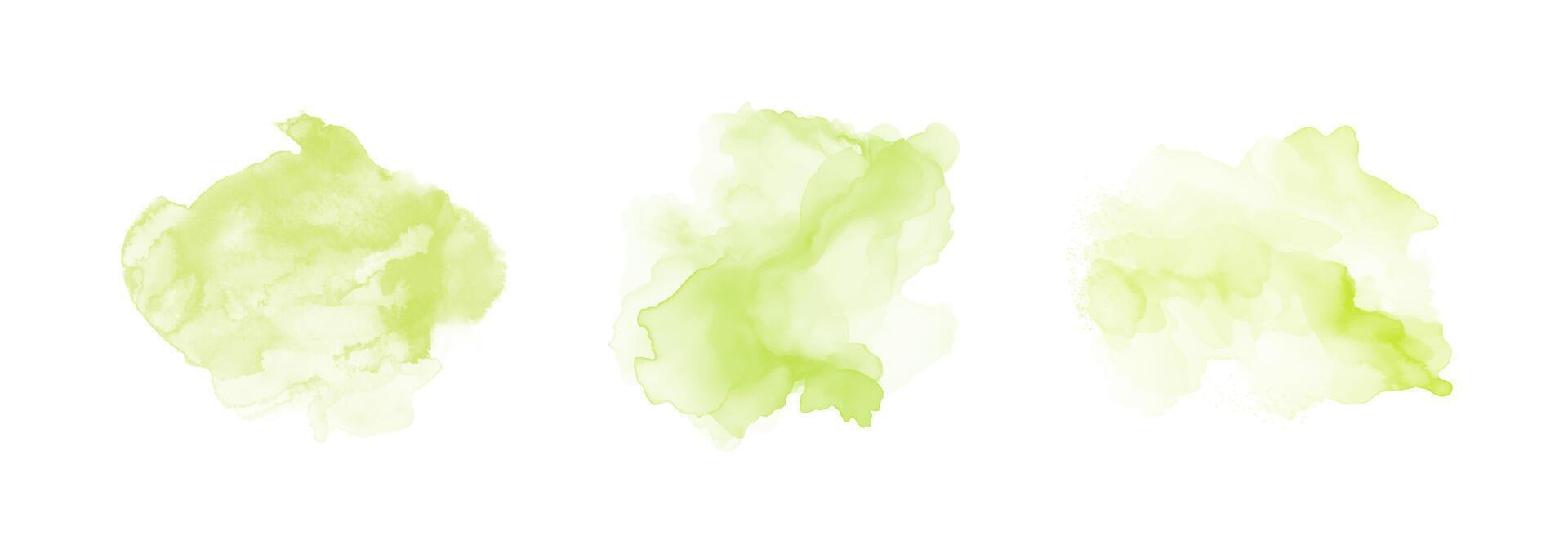 Set of abstract green watercolor water splash on a white background. Vector watercolour texture in salad color. Ink paint brush stain. Green splatters spot. Watercolor pastel splash