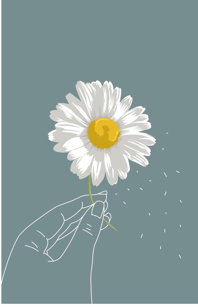 Daisy flower in hand on blue background vector