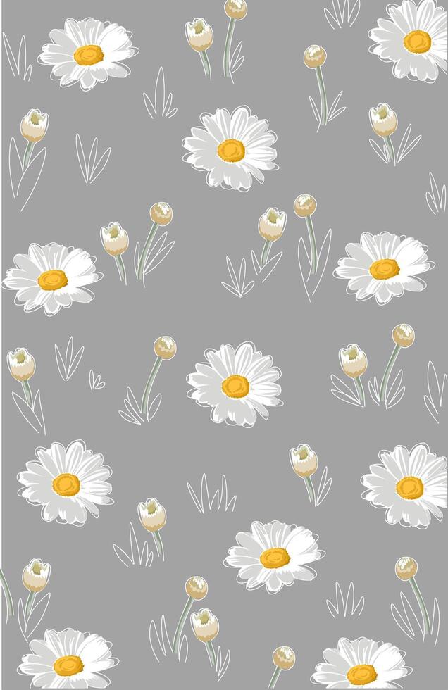 Daisy flower wallpaper and flower buds on a gray background vector