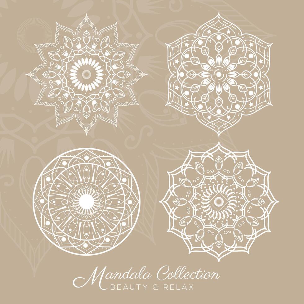 hermosa mandala diseños colección conjunto vector
