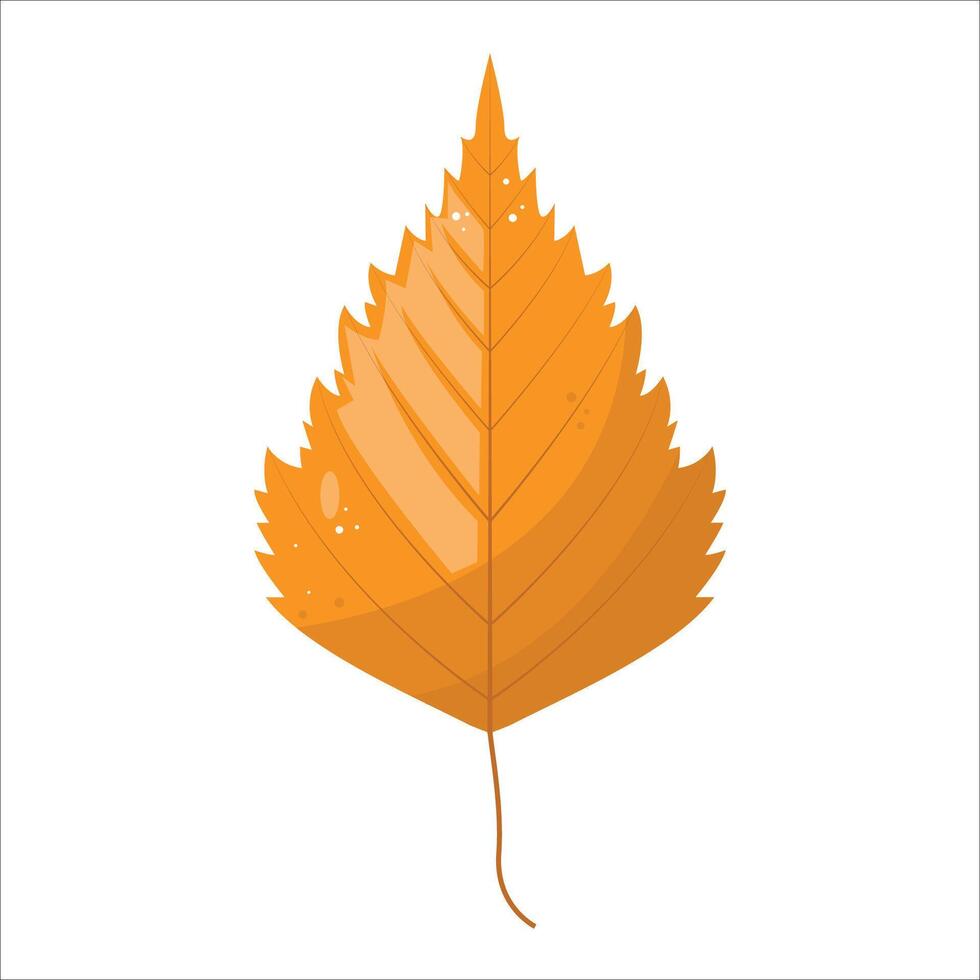 American birch leaf flower as autumn leaves vector