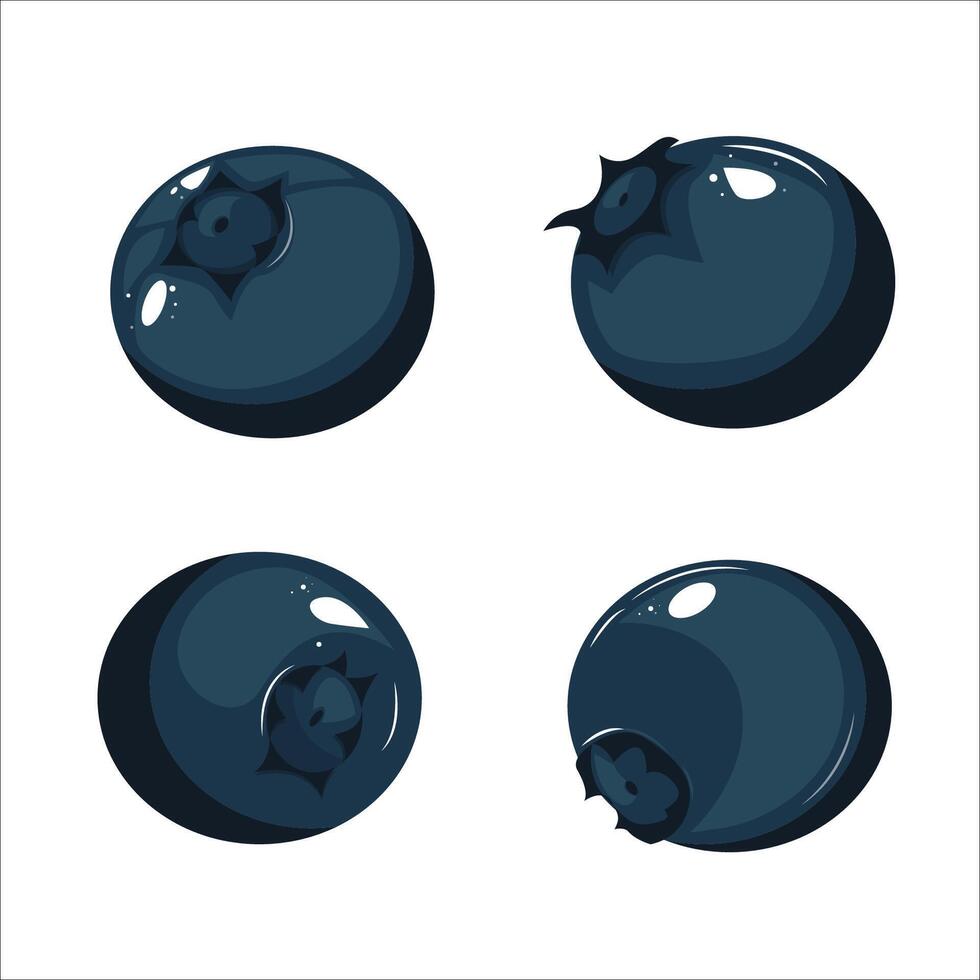 Blueberry fruit vector icon