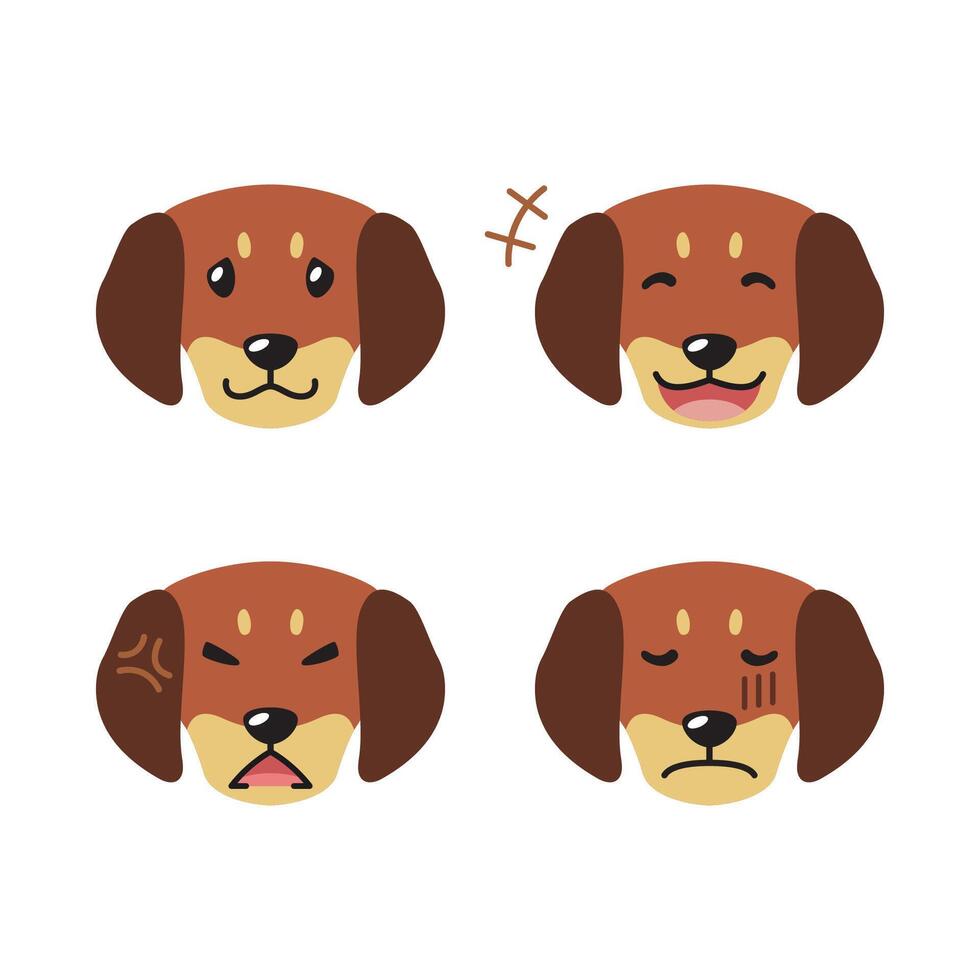 Set of cute character dachshund dog faces showing different emotions vector