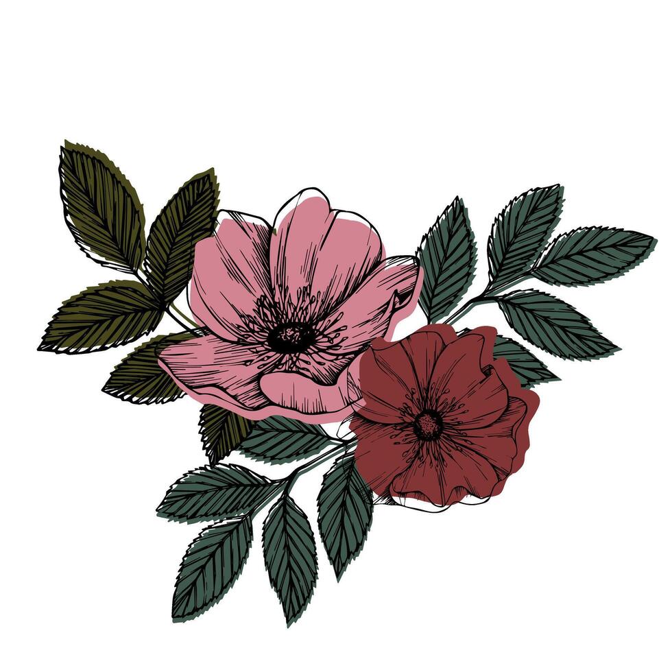 Rose hip vector composition with leaves and flowers. Wild rose, medicinal herb line art drawing, pink and red bud. Outline graphic illustration. sketch for card, prints, logo, tattoo, wedding design