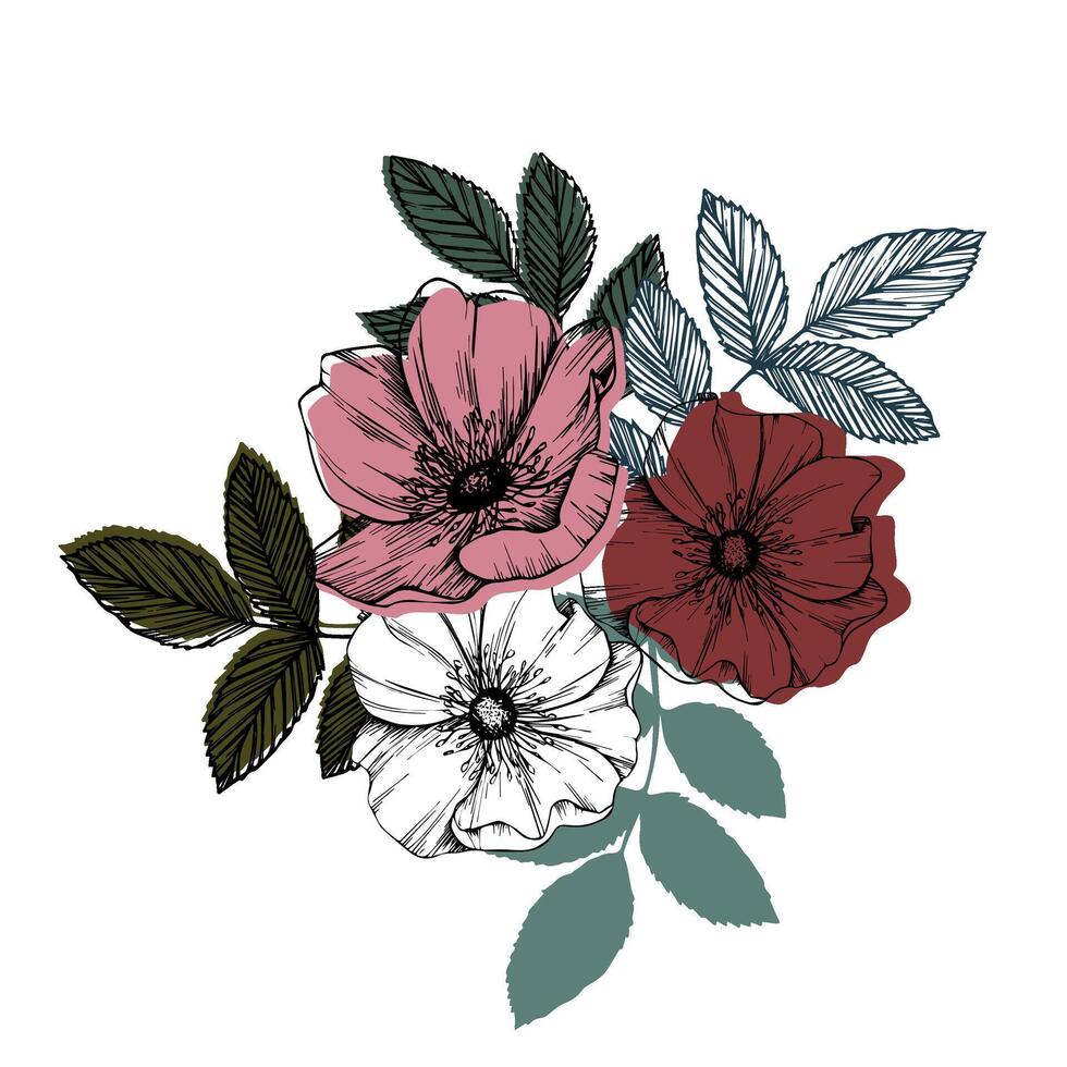 Rosa cadera vector composición con hojas y flores salvaje rosa, medicinal hierba línea Arte dibujo, rosado y rojo brote. contorno gráfico ilustración. bosquejo para tarjeta, huellas dactilares, logo, tatuaje, Boda diseño