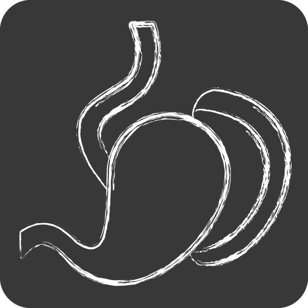 Icon Spleen. related to Human Organ symbol. chalk Style. simple design editable. simple illustration vector