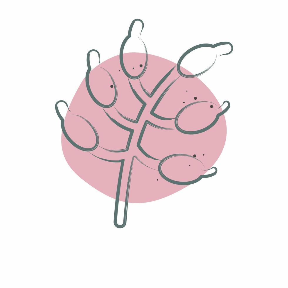 Icon Barberry. related to Spice symbol. Color Spot Style. simple design editable. simple illustration vector